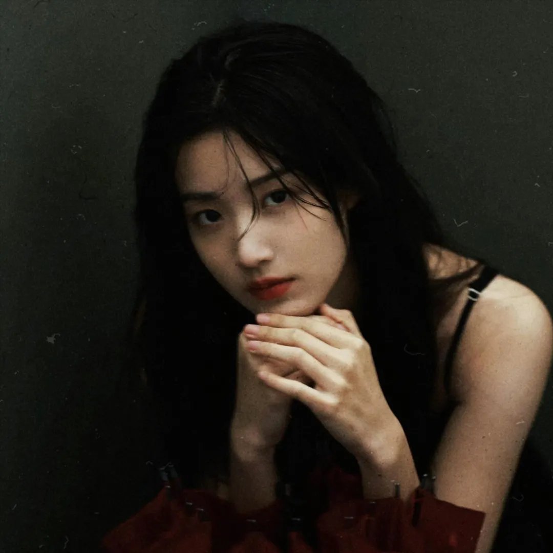 金鹰宝藏